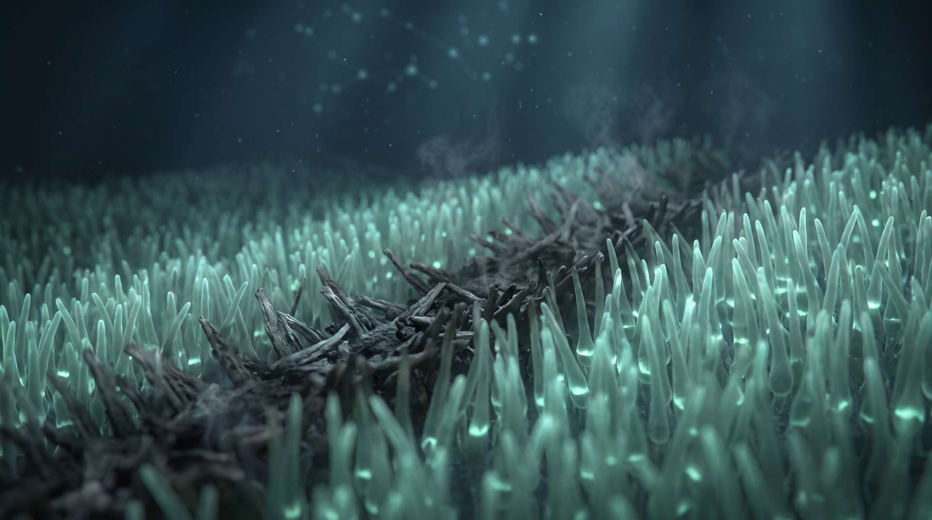 A blackened band of collapsed filaments across the glowing field